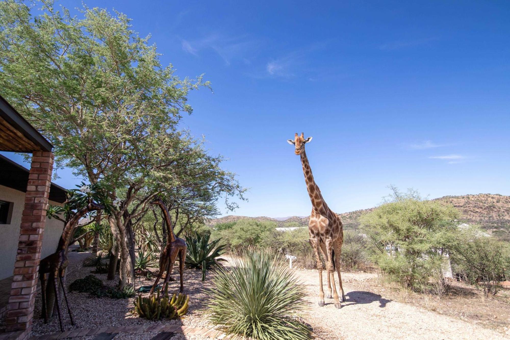 Windhoek Game Camp Lafrenz Township Exterior foto