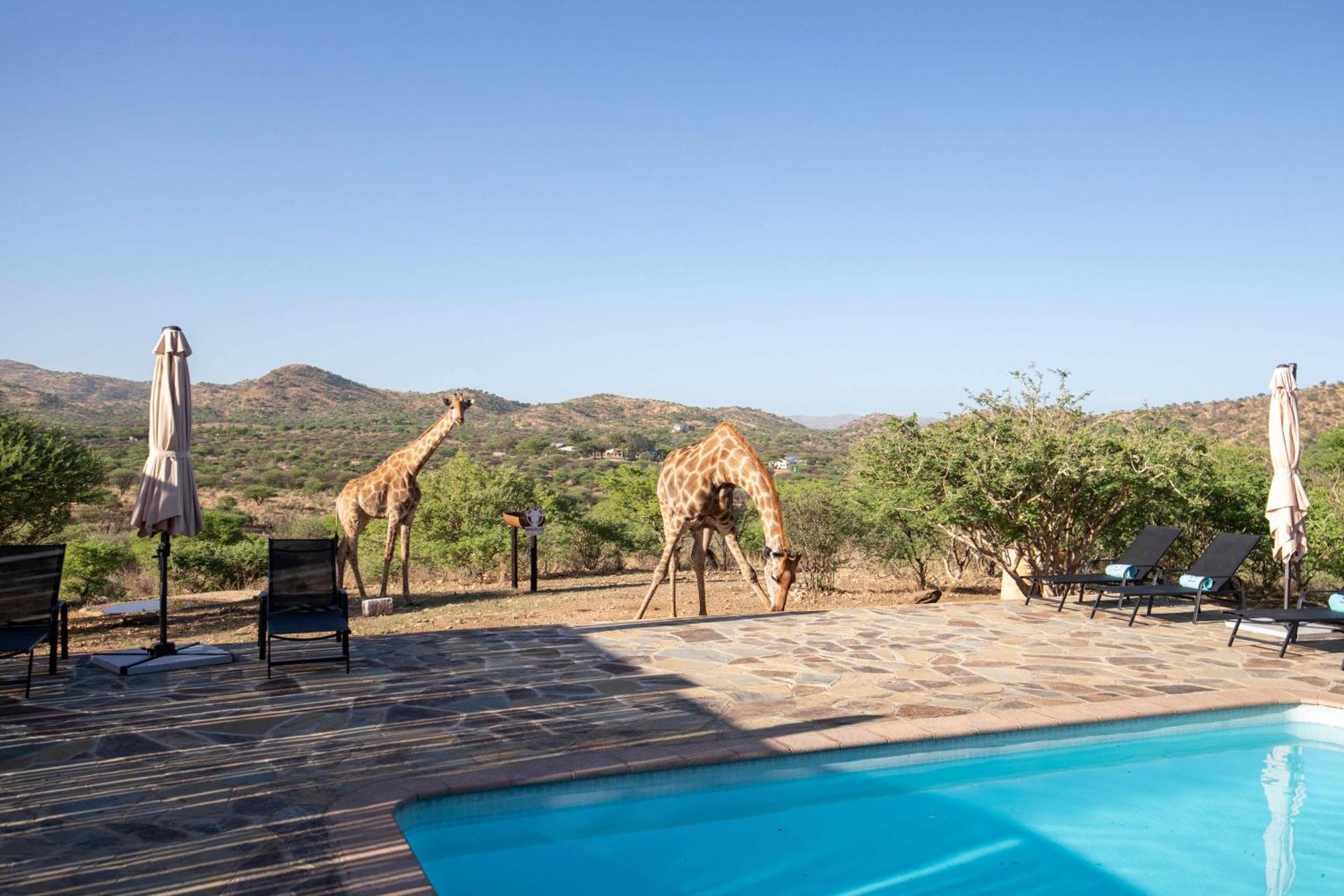 Windhoek Game Camp Lafrenz Township Exterior foto