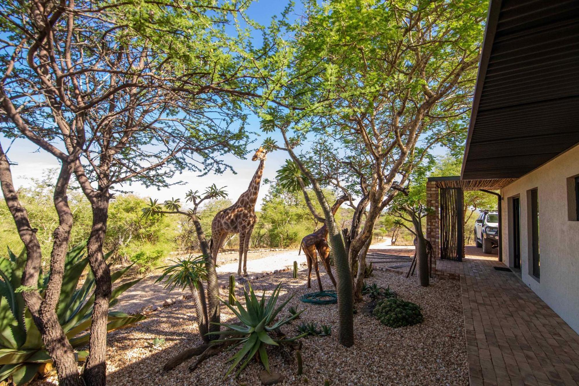 Windhoek Game Camp Lafrenz Township Exterior foto
