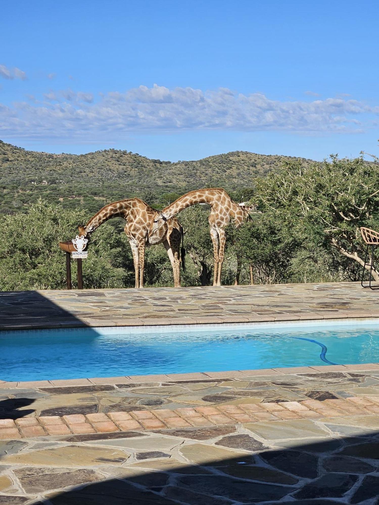 Windhoek Game Camp Lafrenz Township Exterior foto